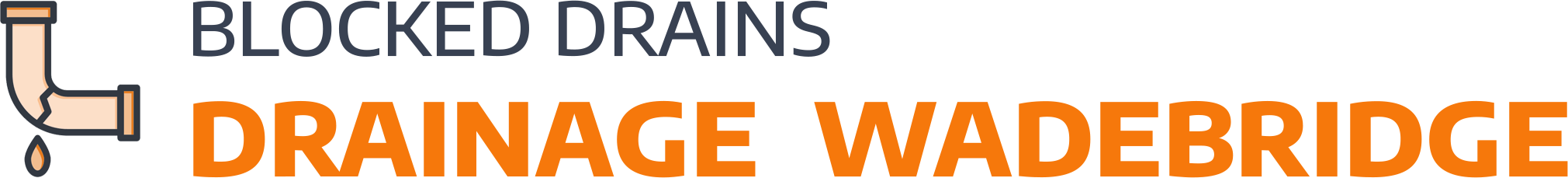 website logo
